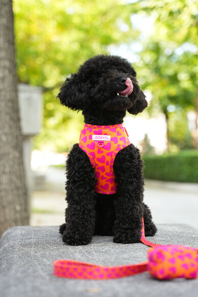 Agatha ruiz de la prada ARNES AJUSTABLE CORAZONES Superdescuento