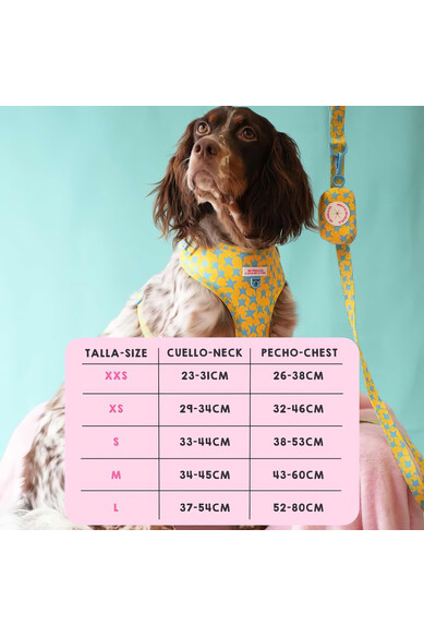 Agatha ruiz de la prada ARNES AJUSTABLE ESTRELLAS Ahorra y exporta