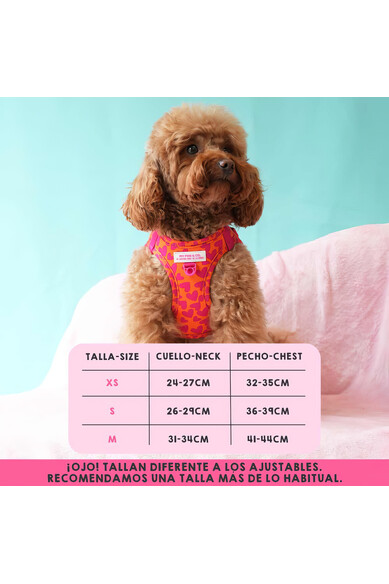 Agatha ruiz de la prada BODY AJUSTABLE CORAZONES Descuentos del mes