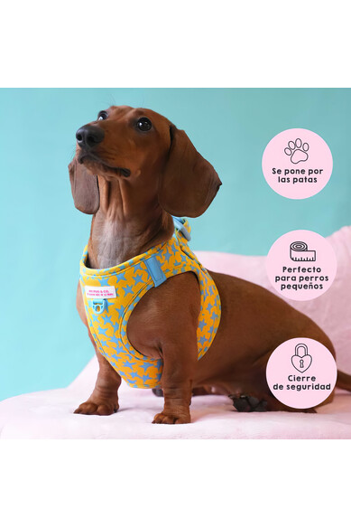 Agatha ruiz de la prada BODY AJUSTABLE ESTRELLAS Última moda