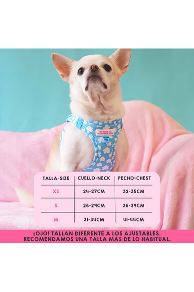 Agatha ruiz de la prada BODY AJUSTABLE NUBES Descuento por venta flash
