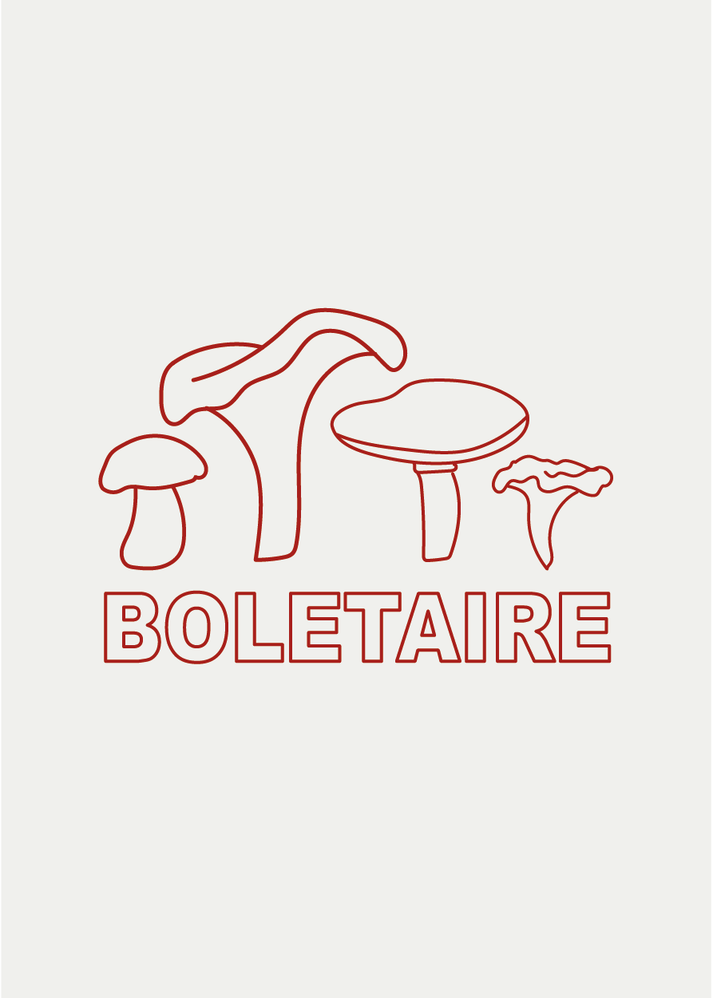 Iaios Boletaire Libre de impuestos