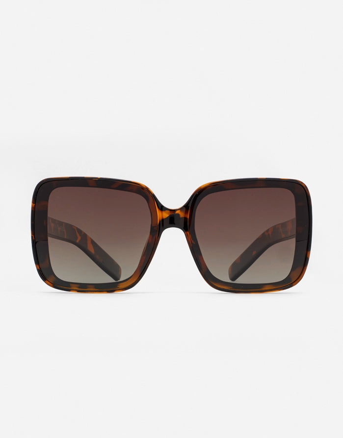 koala bay Gafas de Sol Casual Marrón Carey - Florence Precios de Black Friday