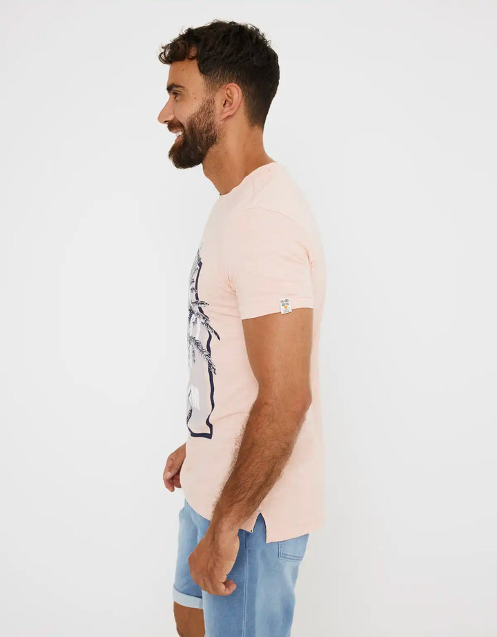 koala bay Camiseta Manga Corta - Mitilene Outlet