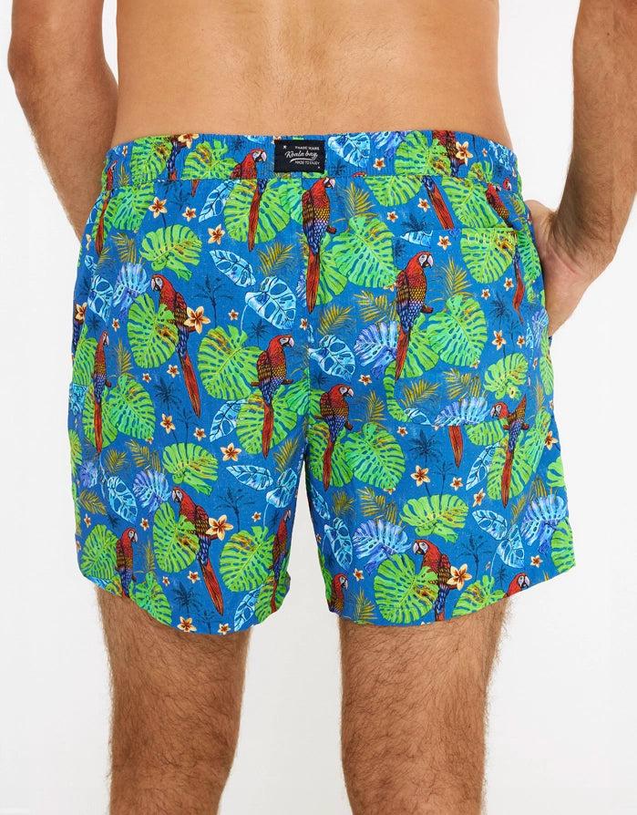 koala bay Bañador Corto Azul - Yellow COMPRAR AHORA