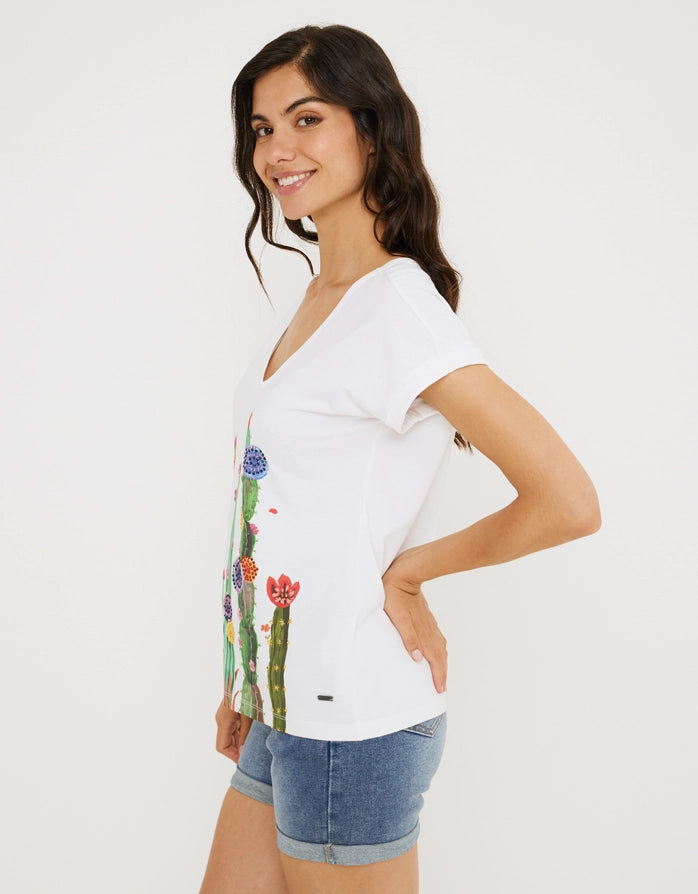 koala bay Camiseta Manga Corta Algodón - Peyotec Libre de impuestos