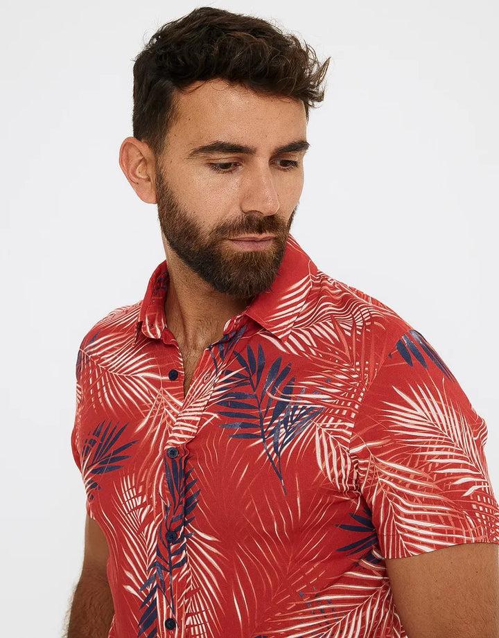 koala bay Camisa Manga Corta Tropical - Levin Promoción trimestral