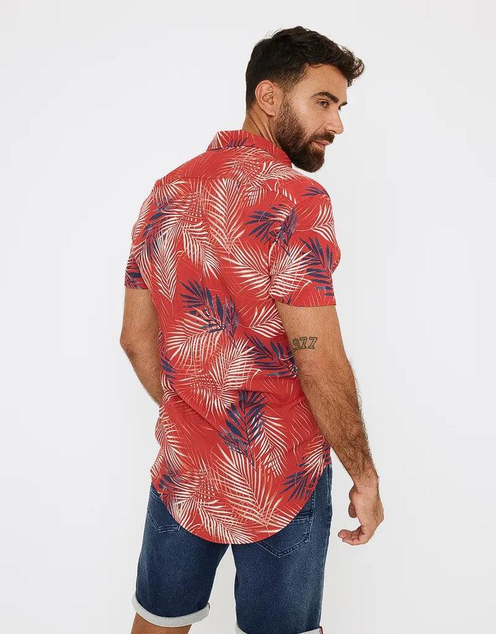 koala bay Camisa Manga Corta Tropical - Levin Promoción trimestral