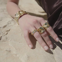 lavani Anillo Clemence ÚLTIMAS EDICIONES