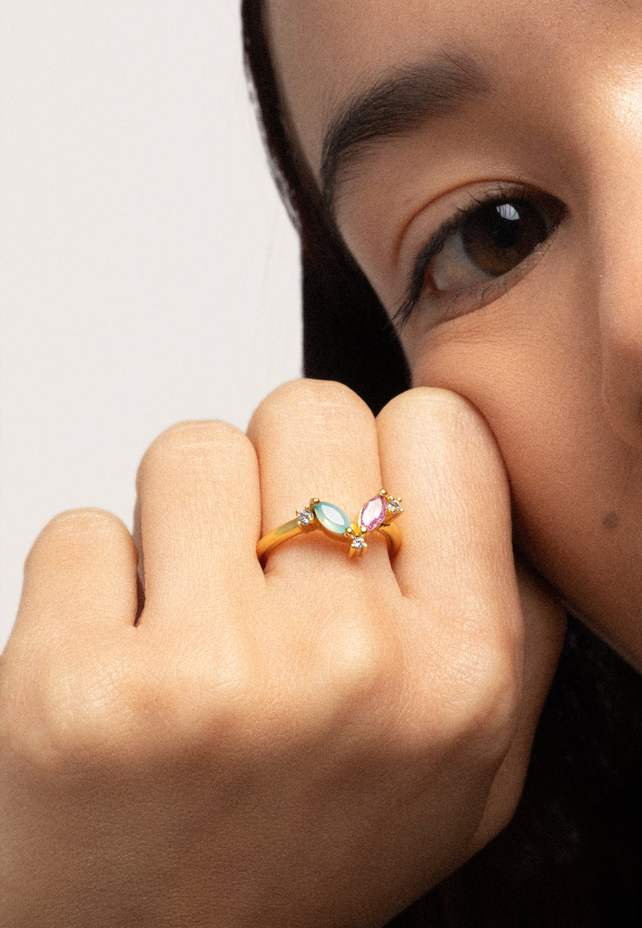 lavani Anillo Denali Ofertas de temporada