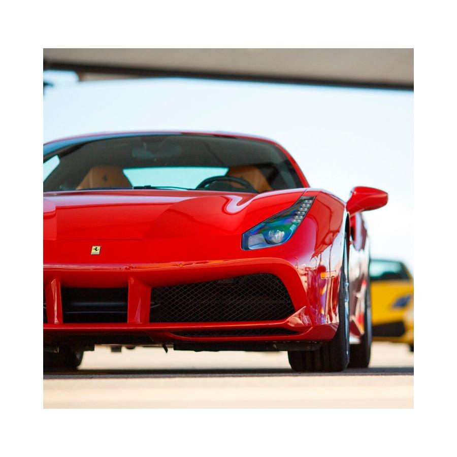 live is laf Box Piloto de Carreras ÚLTIMAS EDICIONES