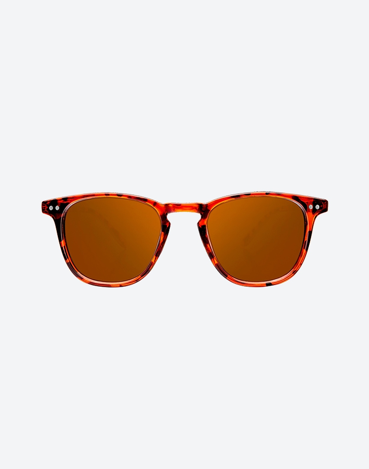 northweek WALL SHINE TORTOISE - AMBAR POLARIZED Grandes ahorros