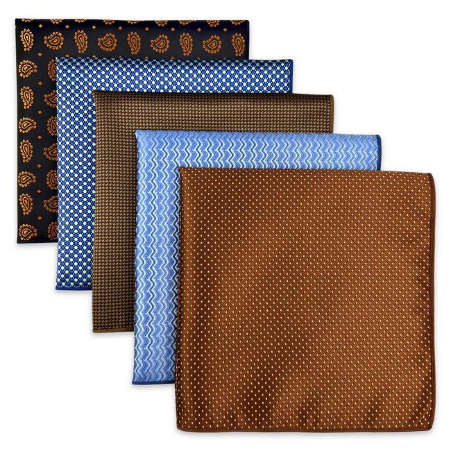 shlax & wing 5 Pieces Assorted Mens Pocket Square Fashion Gift Classic Handkerchiefs Set 2-91 Outlet online