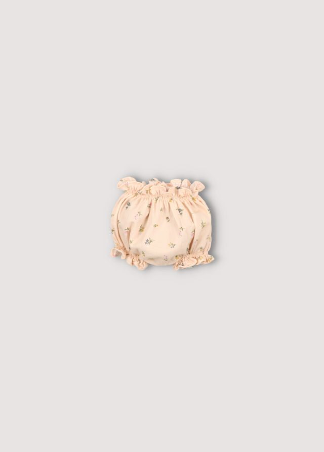 the new society Camellia Baby Bloomer