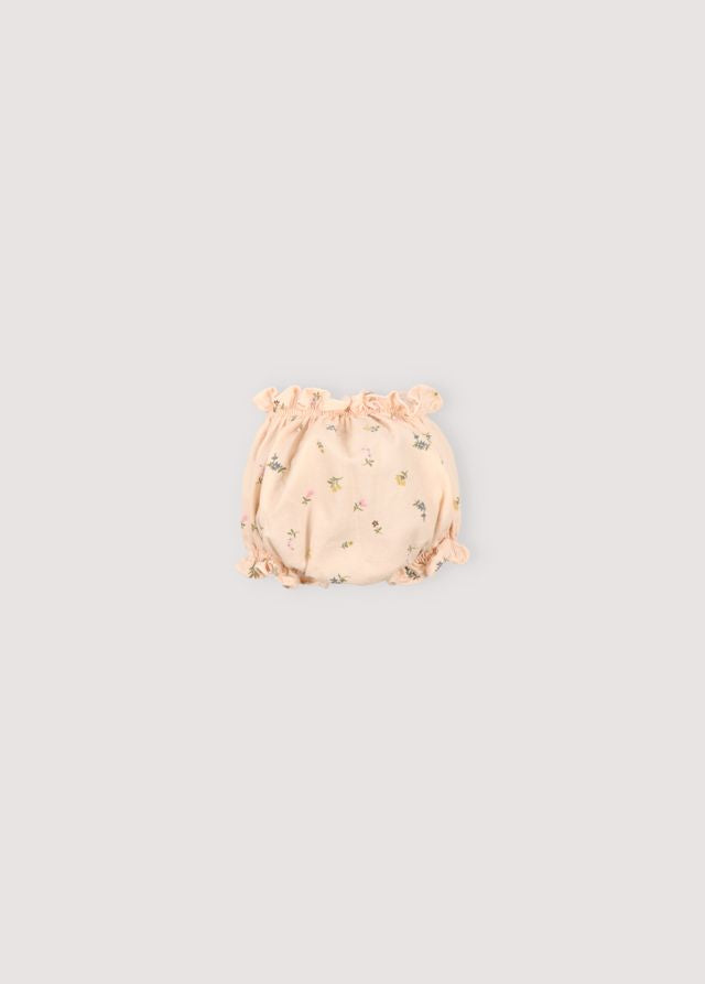 the new society Camellia Baby Bloomer Grandes descuentos