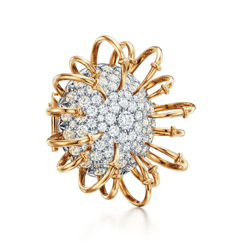 Tiffany & Co. Tiffany & Co. Schlumberger Broche Apollo en oro amarillo y platino con diamantes Tienda